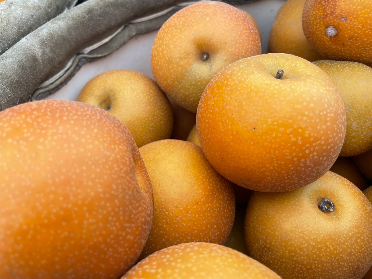 Nihon NASHI, Asian Pears | From Our Suppliers | 1 pack (2-3pc