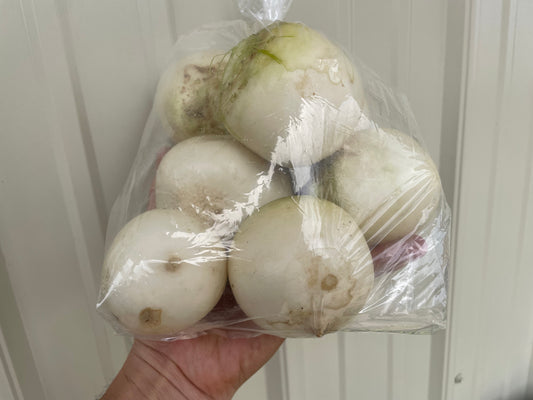 Kabu Turnip (Blemished / without leaves) | Suzuki Farm | 2.0 lb