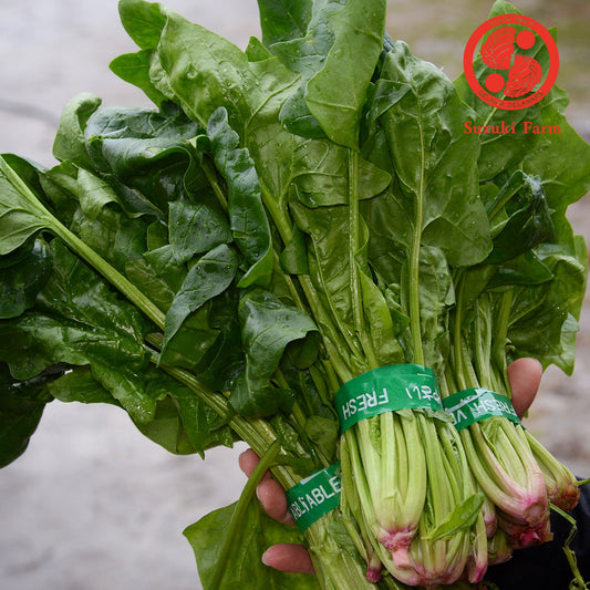 HORENSO Spinach | Suzuki Farm | 1 bunch