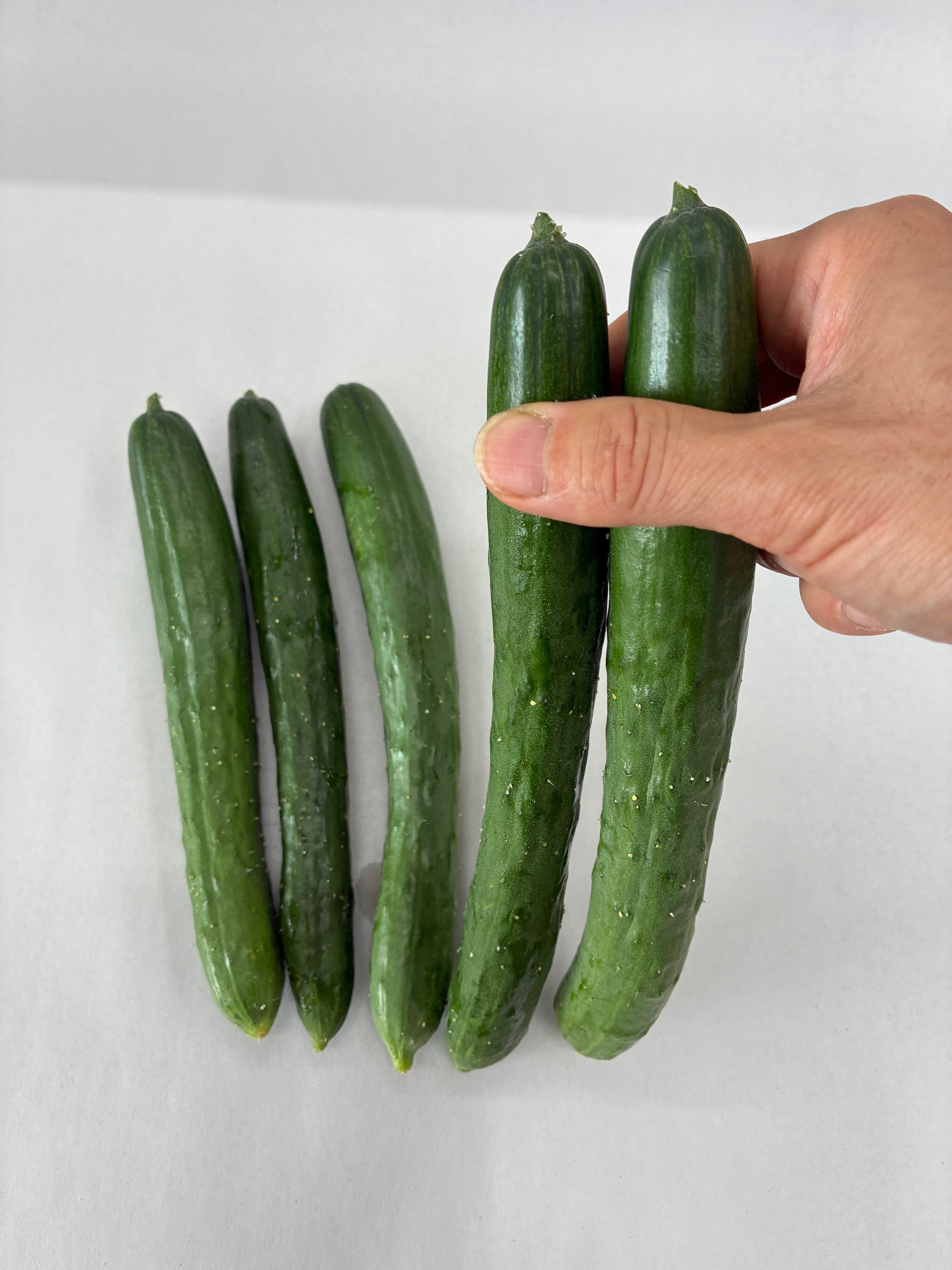 きゅうかんばー Kyuri (Japanese Cucumber) | Suzuki Farm | 3 pc **+ 2 pc**