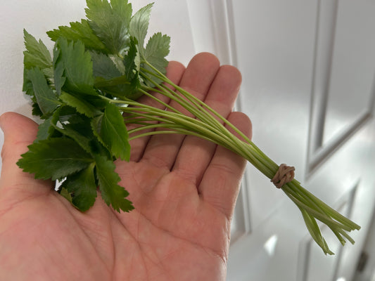 MITSUBA Leaves (Japanese Parsley) | Suzuki Farm | 1 pack
