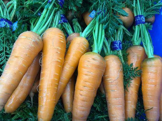 Carrot "Go-Sun" (Japanese Carrot)  | Suzuki Farm | 1 bunch