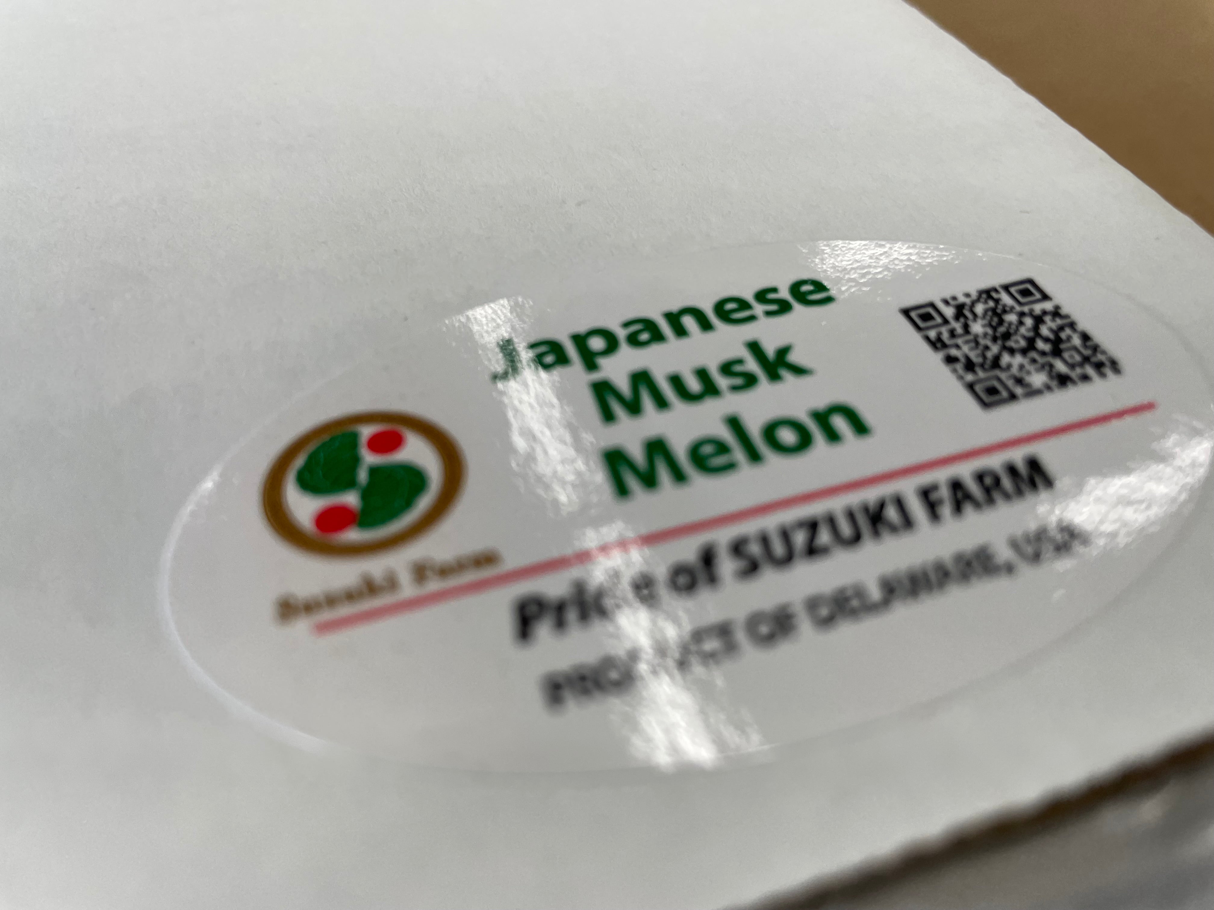 Section Farmland Pattern Musk Melon | Suzuki Farm | 1 pc (Premium)