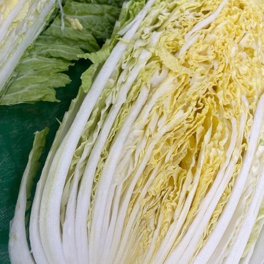 Napa Cabbage (HAKUSAI) | Suzuki Farm | 1 head