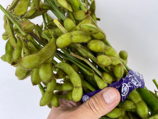 EDAMAME on the stem (Young Soybeans) | Suzuki Farm | 1 bunch