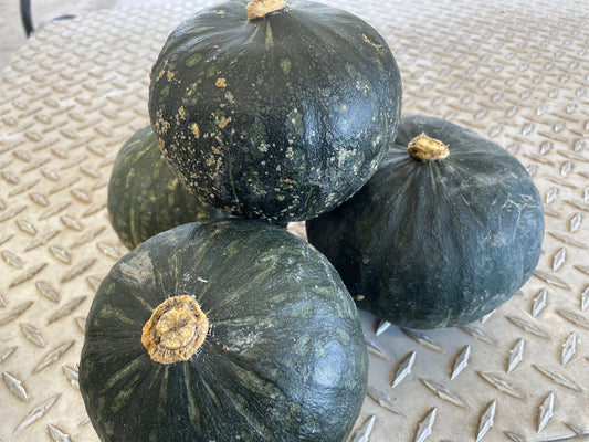 Small KABOCHA Squash | Suzuki Farm | 1 pc