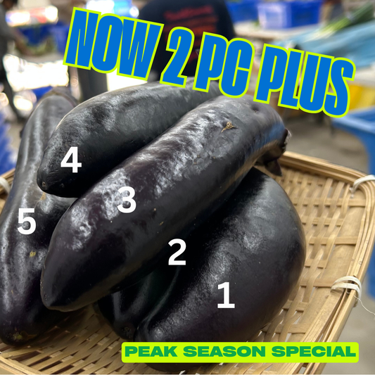 NASU Eggplant | Suzuki Farm | 3 pc