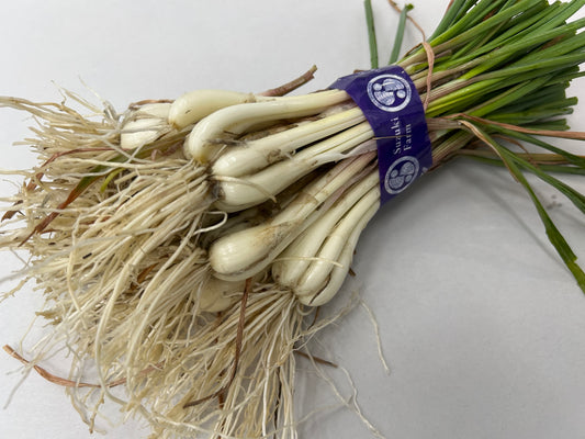 Unsorted RAKKYO, Scallion for pickles  | Suzuki Farm | 1 bunch