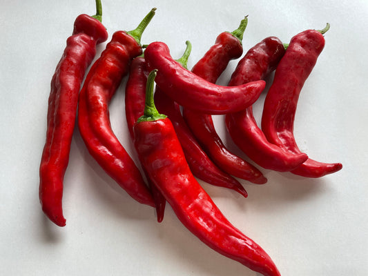 Red Manganji Pepper | Suzuki Farm | 0.35lb