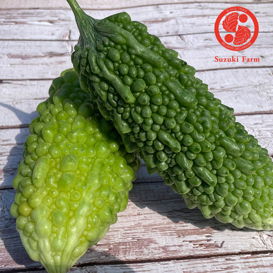 NIGAURI Bitter melon | Suzuki Farm | 1-2pc