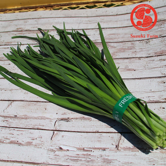 NIRA Garlic Chives | Suzuki Farm | 1 bunch